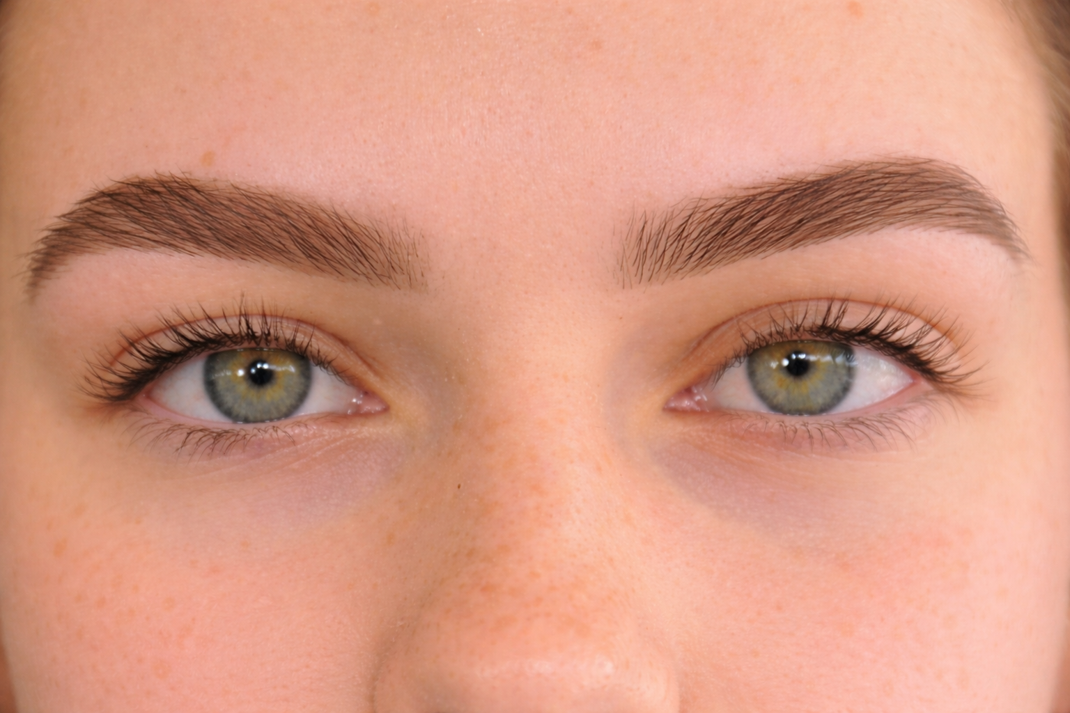 Brow Shape And Tint
